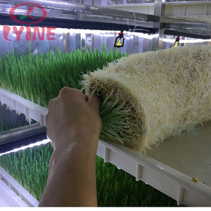 Kích thước lớn 85x40cm trong nhà nhựa thủy canh khay hydroponics khay thức ăn gia súc hạt giống với đặc biệt lỗ thoát nước dưới - Product Image 5