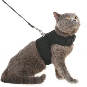 personalized cat harness
