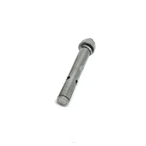 M6 M8 M10 Stainless Steel AISI 304/A2 316/A4 Sleeve Anchor Bolts for Wall Mounting