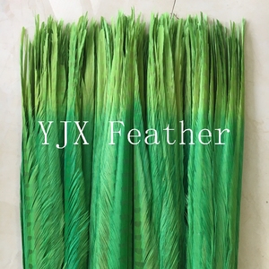 Đầy Màu sắc gà lôi đuôi lông cho Carnival Samba trang phục - Product Image 6