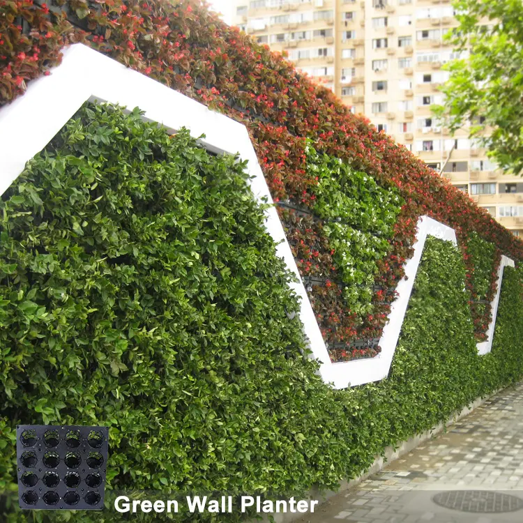 인공적인 수직 정원 녹색 벽, 녹색 정원 수직 옥외 식물 벽 Aritificial 벽/녹색 벽/꽃 벽