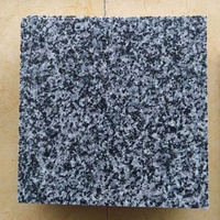 PAIA STONE Carreaux de granit modernes G654 intérieur/extérieur noir bleu Dubaï naturel poli 10x10