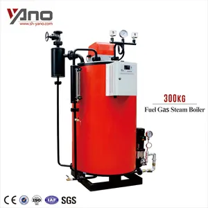 Vertical 300kg Steam Boiler Gas Rice Boiler for Rice Husk Power Plant