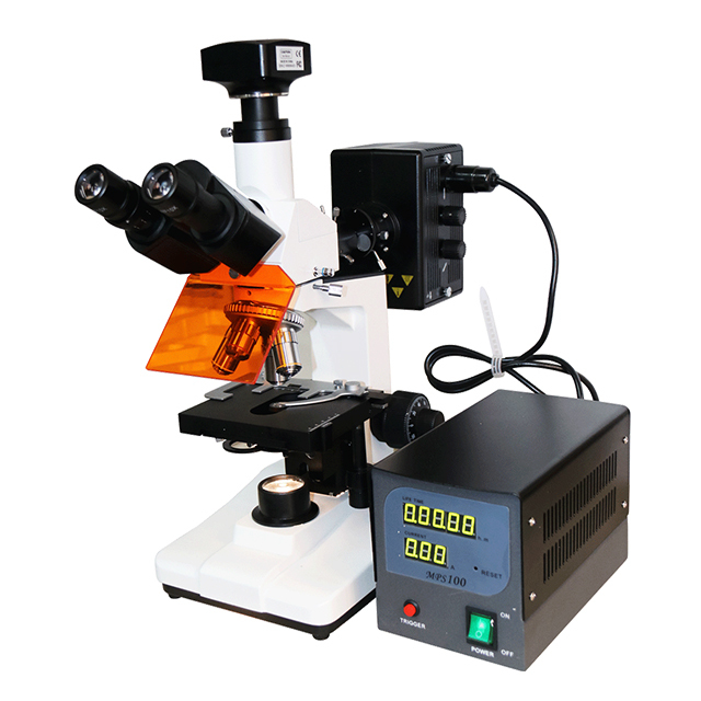 Fluorescence Microscope for Sale