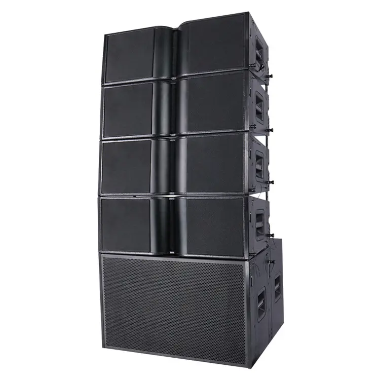 Sinbosen 사운드 시스템 전문 오디오 Dj 사운드 박스 가라오케 스피커 KA210 라인 어레이