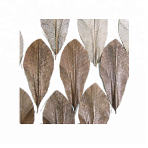 شواء الوسادة وتغليف المواد الغذائية تبخير فراغ حزمة المجففة هوبا يترك - Product Image 3