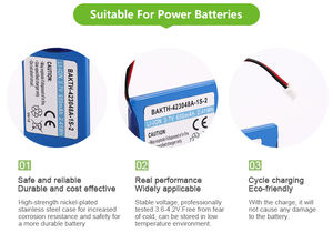 टिकाऊ उपभोक्ता इलेक्ट्रॉनिक्स बैटरी BAKTH-423048A-1S-<span class=keywords><strong>2</strong></span> 3.7v 650 माया रिचार्जेबल ली-आयन बैटरी - Product Image 5