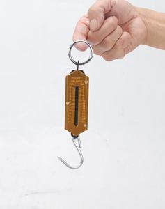 Timbangan Bagasi Pegas Portabel, Keseimbangan Memancing 50Kg - Product Image 2