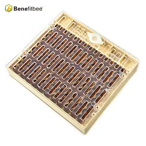 High quality beekeeping bee queen rearing box kit from benefitbee