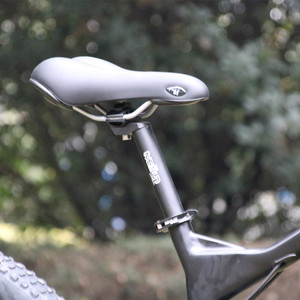 Bicicleta Eléctrica de Montaña Leili <span class=keywords><strong>Ares</strong></span> de 1000W con Motor Central, ENVÍO GRATUITO - Product Image 5