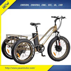 Best 48V 750W 3 Wheeler Electric Cargo Bike With 24*4.0 Inch Fat Tire EbikeためAdults