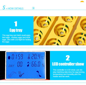 Bán Hot lồng ấp độc đáo HHD năng lượng mặt trời năng lượng kỹ thuật số nhỏ gà trứng lồng ấp YZ-32S - Product Image 3