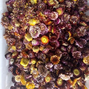 1 kg de fleurs séchées d'<span class=keywords><strong>Helichrysum</strong></span> <span class=keywords><strong>Bracteatum</strong></span>, têtes de fleurs Bracteantha Bracteata pour le thé - Product Image 4