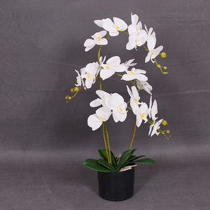 Real Touch künstliche Orchideen blumen zum Verkauf künstliche Orchideen pflanzen zur Dekoration