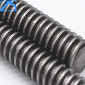 स्टेनलेस स्टील एक्मे पिरोया रॉड के साथ delrin एक्मे अखरोट - Product Image 2