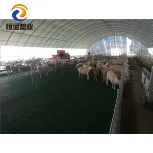 Sistema de piso de plástico piso ripado para cabra cabra plástico preço de atacado