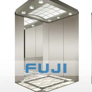 Fuji Hoge Kwaliteit Passenger Lift Residentiële Lift Kleine Thuis Lift Huis Lift Rvs Liften