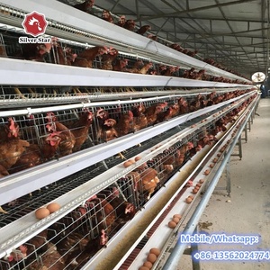 Cages à batterie à prix avantageux pour poules pondeuses, système de cages à poulets automatiques en forme de <span class=keywords><strong>A</strong></span> - Product Image 2