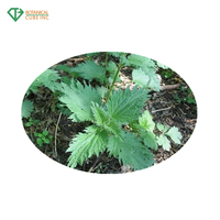 쐐기풀 뿌리(Urtica Dioica) 추출물 분말 유기실리콘 쏘기풀 잎 씨앗 추출물