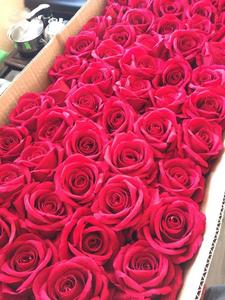 Çin toptan yapay gül İpek çiçek kafa düğün dekorasyon için - Product Image 4