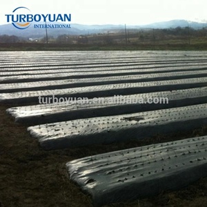Agricultural Weed Control Soil Covering Mulch Film Black <strong>Plastic</strong> Rolls 10-100 Micron Blow <strong>Molding</strong> Cutting - Product Image 6