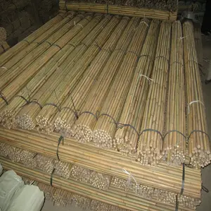 natural tonkin/tsinglee bamboo poles/sticks/stakes