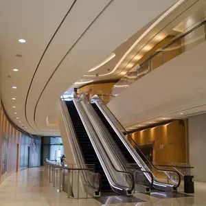 Produsen profesional Harga eskalator digunakan eskalator komersial untuk dijual ISO mal belanja Online Modern 12 bulan, 1 tahun