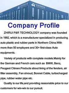 Genuine Quality Auto Spare Parts For Peugeot Citroen BMW Benz