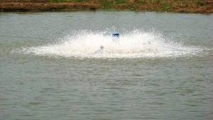 Aerator Kolam Renang 2Hp, Aerator Air Mancur Kolam Surge untuk Ikan - Product Image 5