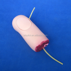 Modelo de Entrenamiento para Amputación y Hemostasia, Módulo de Brazo Amputado con Hemorragia - Product Image 2