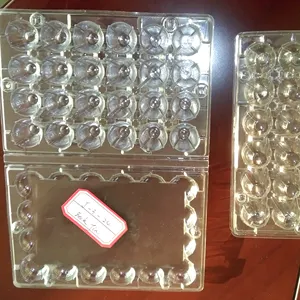 30 Holes Plastic Quail Egg Carton