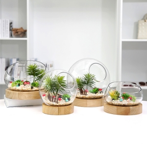 Terrarium en verre soufflé à la bouche fait à la main avec support en bois - Product Image 5