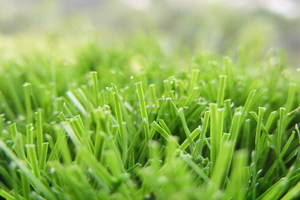 <span class=keywords><strong>Pasto</strong></span> / césped sintético para cancha de fútbol - Product Image 1