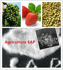 SAP China líder fábrica <span class=keywords><strong>super</strong></span> absorbente polímero puro SAP precio - Product Image 2