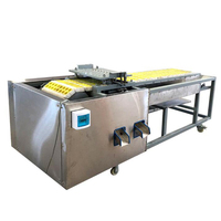 Automatische Palmputten Die Machine Fruitkernzaden Verwijderen, Verwijderen Dadels Cherry Lychi Olijf Pitter Medjool Date Pitting Machine