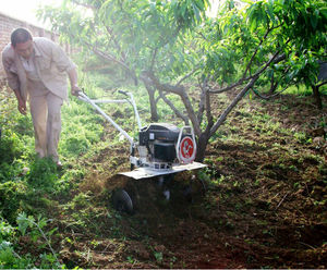 2015 nom de Tennma VG le plus récent mini machines agricoles bineuse motoculteur - Product Image 3