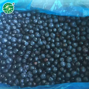Großhandels preise für IQF Fruit Berry Frozen Blueberry