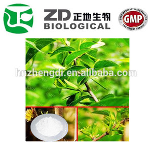 De haute qualité cortex. eucommiae leaf extract poudre d'acide chlorogénique - Product Image 1