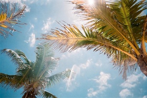 Dafen Nuovo Prodotto di Arte Della Parete di Stampa <span class=keywords><strong>su</strong></span> Tela di Canapa paesaggio Spiaggia Foto - Product Image 3