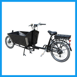 Holland 250 W Ebike Pedal assisted two wheels Load - Product Image 4