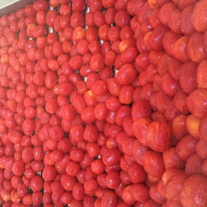 Barato al por mayor Halal alimentos enlatados <span class=keywords><strong>tomates</strong></span> <span class=keywords><strong>pelados</strong></span> <span class=keywords><strong>enteros</strong></span> - Product Image 5