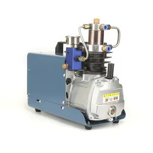 2hp Drive Pcp Elektrische Pneumatische Air Compressor 300 Bar