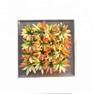 Qatar Día Nacional DIY casa/hotel/oficina/restaurante/decorativos de alta simulación regalo suculento colgante de pared - Product Image 5