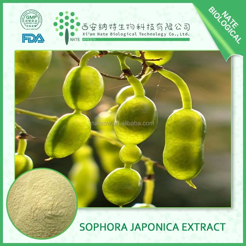 Sophora Japonica 추출물 98% Genistein
