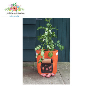 Des échantillons gratuits Spécialisés pour d'<span class=keywords><strong>achat</strong></span> section <span class=keywords><strong>Pomme</strong></span> <span class=keywords><strong>De</strong></span> <span class=keywords><strong>Terre</strong></span> Sac - Product Image 1