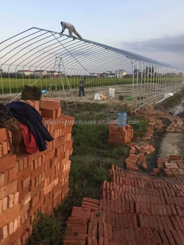 Precio de fábrica, barato, de China, de estructura de acero de granja de pollo