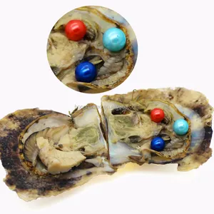 28 Farben erhältlich Akoya Perle Auster echte Süßwasser Perlen Schmuck gefärbte Perlen Schmuck Herstellung 3 in 1