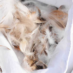 Giá Rẻ Gối Kích Thước 45X45 50X50 Vịt Lông Đệm <span class=keywords><strong>Inners</strong></span> Bán Buôn Cho Sofa - Product Image 2