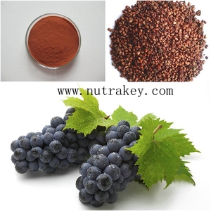 Extracto orgánico belleza Extracto <span class=keywords><strong>de</strong></span> semilla <span class=keywords><strong>de</strong></span> <span class=keywords><strong>uva</strong></span> proanthocyanin polvo - Product Image 2