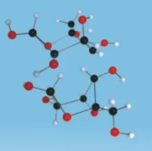 糖分子構造モデル